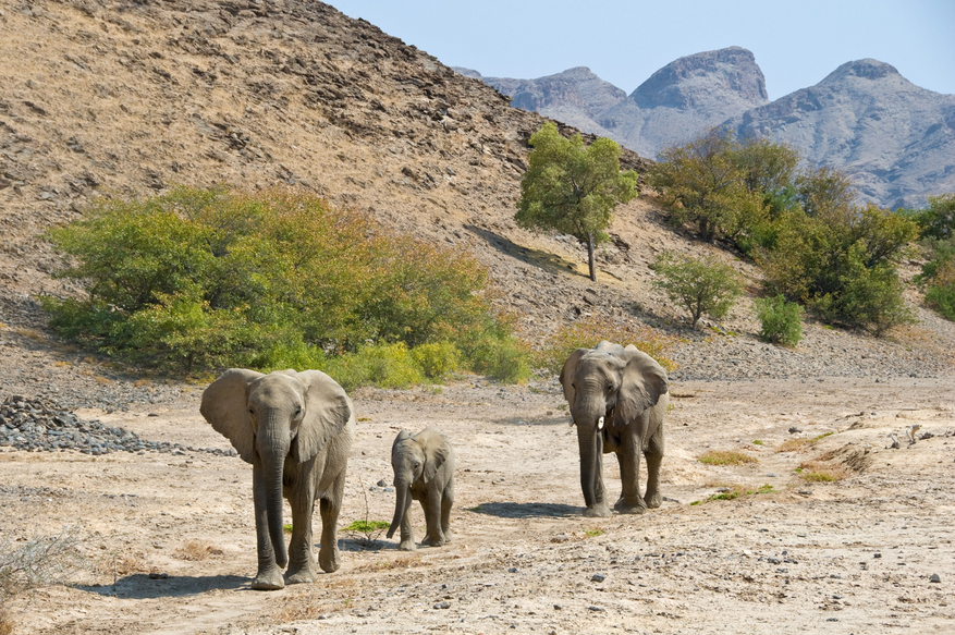 Namibia Camping Safari