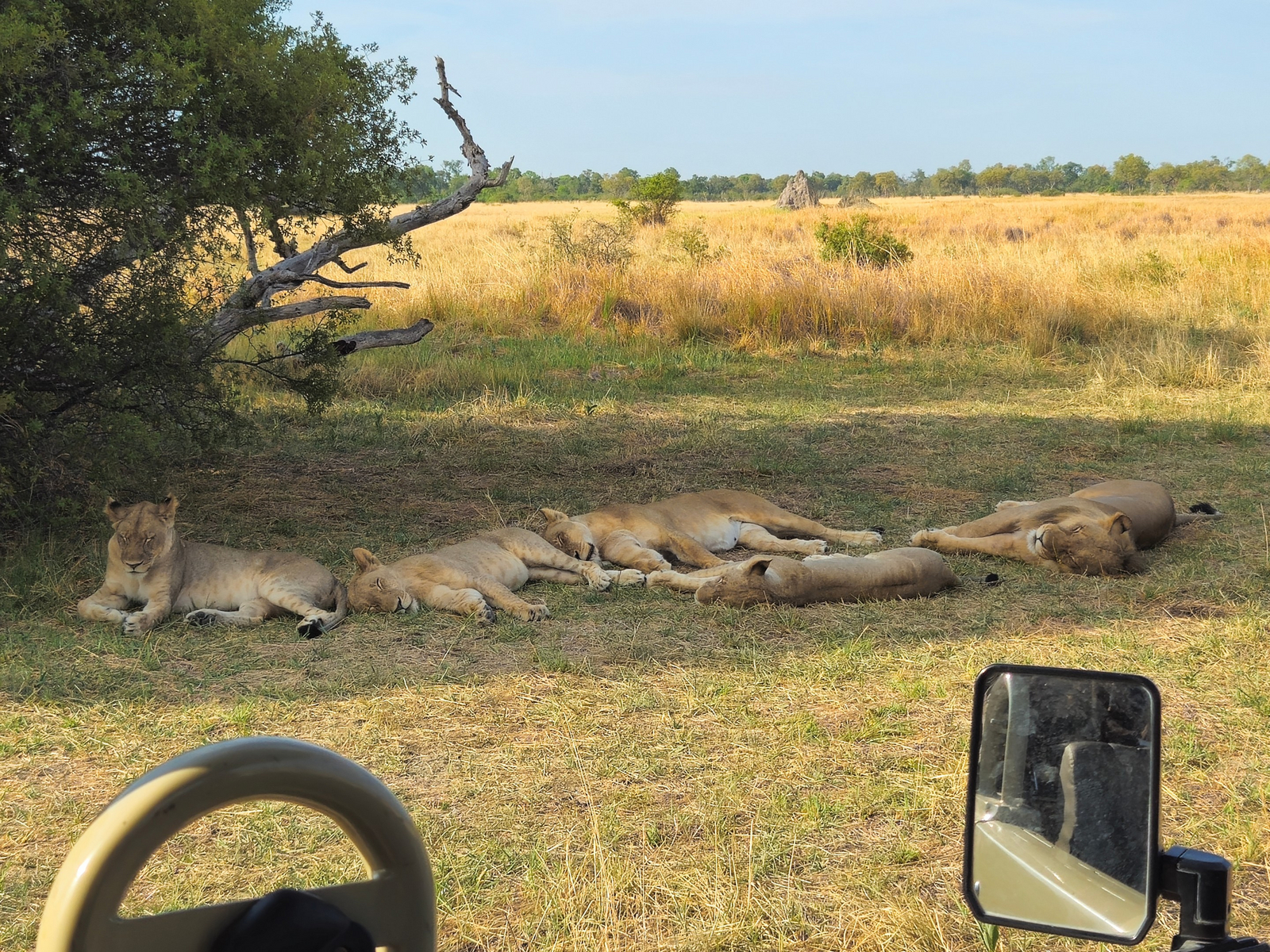 Okavango-Delta Okavango-Delta