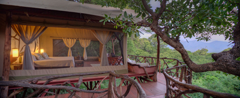 Sarara Tree: TBaumhaus