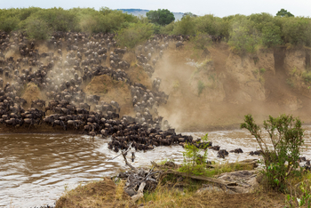 Serengeti Mara River Camp: Great Migration