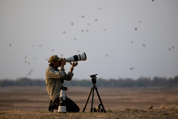 Sungani Lodge Sungani Lodge: Fotograf bei dem Karminspinten