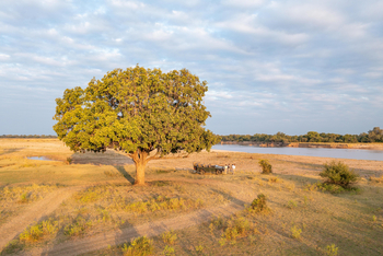 Time + Tide South Luangwa Time + Tide South Luangwa: Sundowner
