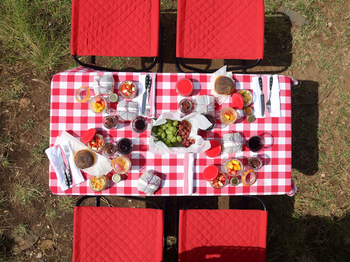 Angama Mara: Picknick