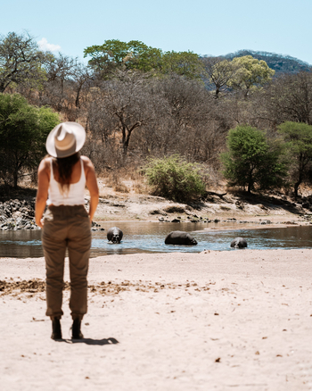 Asanja Ndembo: Nilpferde