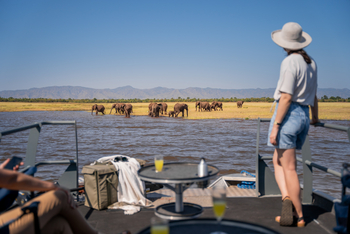 Fothergill Island: Motorbootsafari
