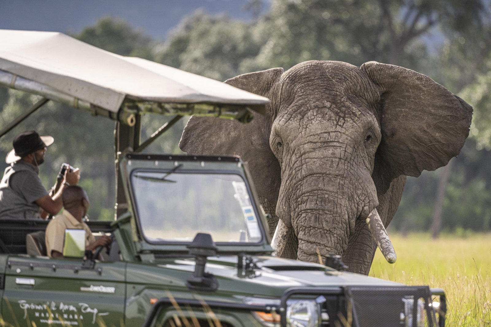 Governors' Il Moran Camp Governors' Il Moran Camp: Elefantenbulle