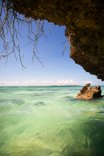 Kinondo Kwetu Kinondo Kwetu: Korallenfelsen