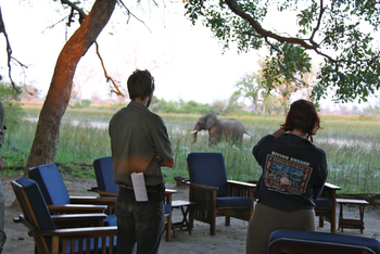 Kujwana Camp: Elefant vor dem Camp