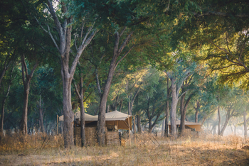 Kutali Camp Kutali Camp: Gästezelte unter Bäumen