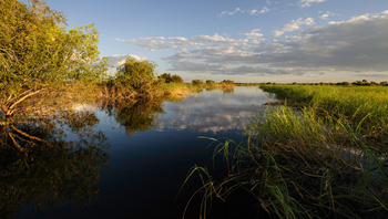 Liuwa Camp: Stilles Gewässer