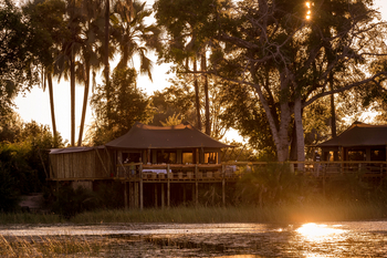 Pelo Camp: Camp unter Bäumen