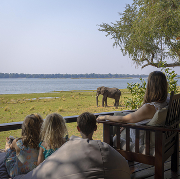 Royal Zambezi Lodge: Elefant nahe der Lodge