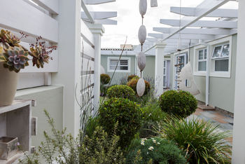 Swakopmund Guesthouse: Pflanzenbeete