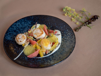 The Oberoi Rajvilas: Jakobsmuscheln