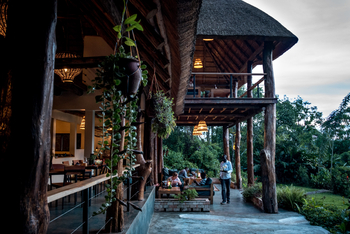 Turaco Treetops: Terrasse