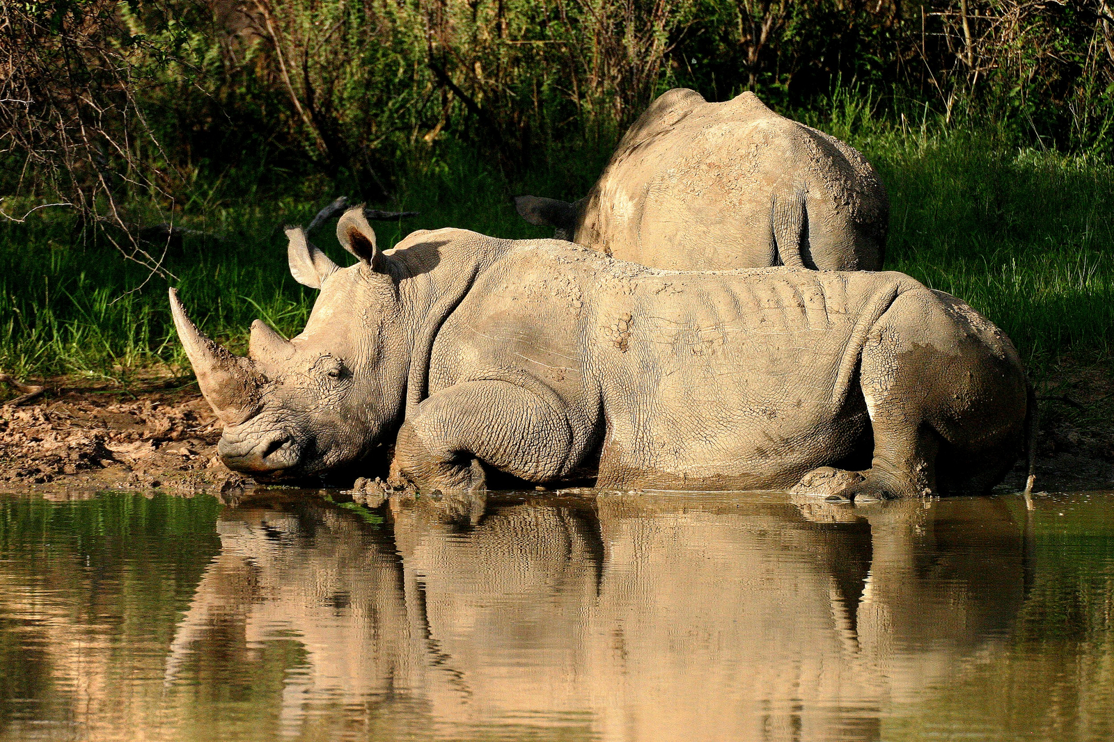 Waterberg Plateau Lodge Waterberg Plateau Lodge