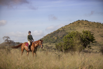 Campi ya Kanzi: Reiter