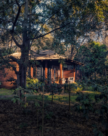 Elewana Arusha Coffee Lodge: Plantation Suite