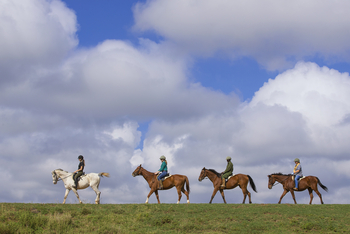 Elewana Loisaba Tented Camp: Pferde vor den Wolken