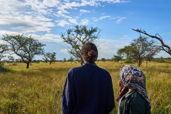 Ikoma Tented Camp: Paar beobachtet weite Savanne bei Tagesanbruch