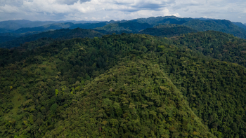 Mahogany Springs Safari Lodge: Luftbild