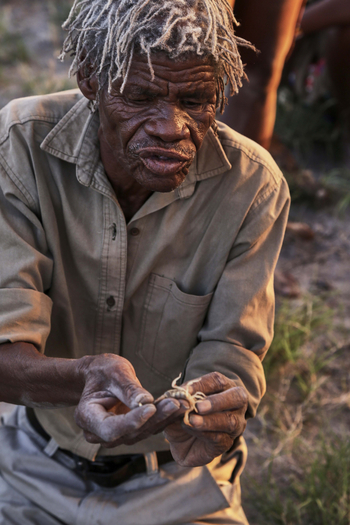 Camp Kalahari Camp Kalahari: Bushman Experience
