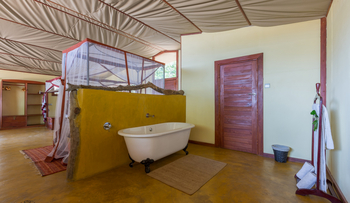 Potato Bush Camp: Safarizelt