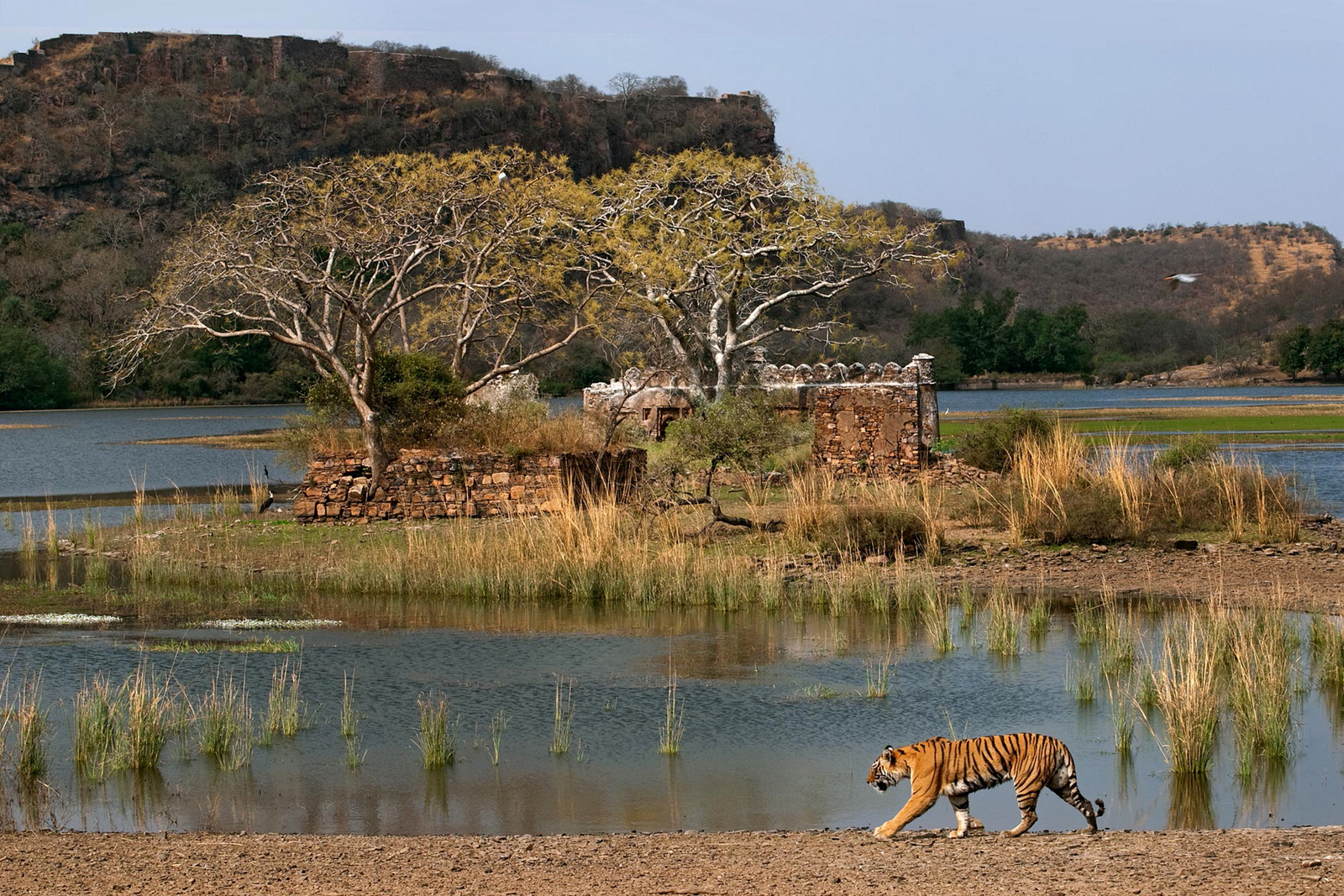 Sujan Sher Bagh Sujan Sher Bagh