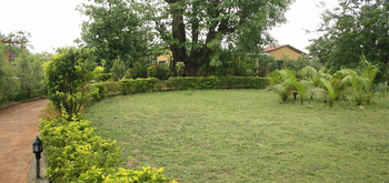 The Wildflower Resort The Wildflower Resort: Im Garten