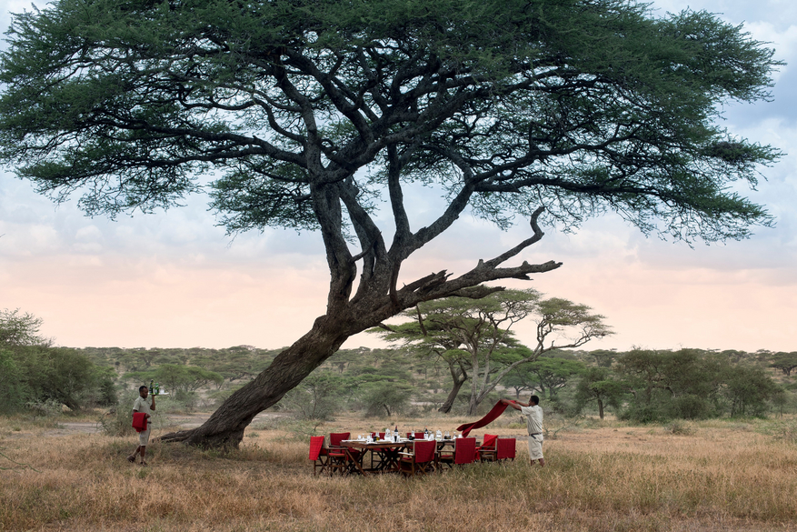 andBeyond Serengeti under Canvas