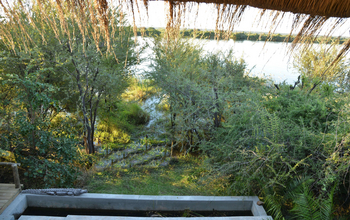 Chobe Bakwena Lodge Chobe Bakwena Lodge: Fluss hinter dem Pool