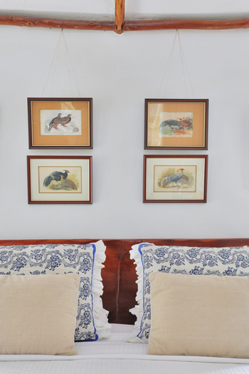 Jim's Jungle Retreat: Jungle Lodge - Interieur