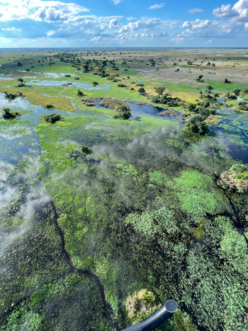 Kala Camp: Endloses Delta