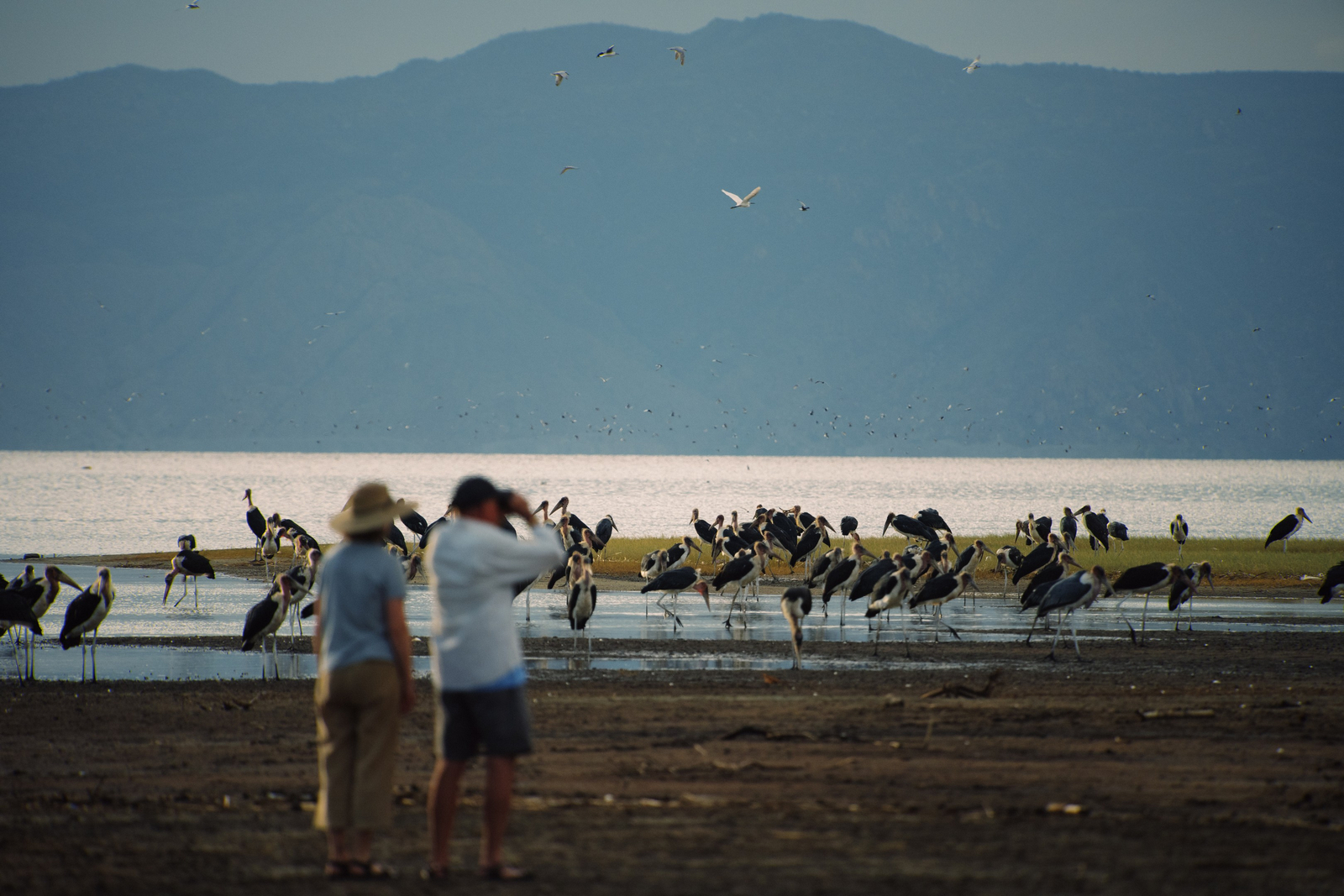 Kisima Ngeda Camp Kisima Ngeda Camp: Vogelbeobachtung