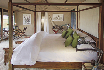 Little Chem Chem: Doppelbett