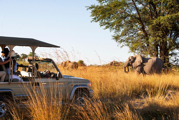 Namushasha River Lodge: Elefant
