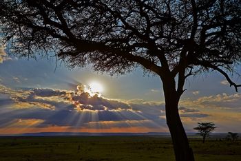 Olare Mara Kempinski: Ausblick auf Natur