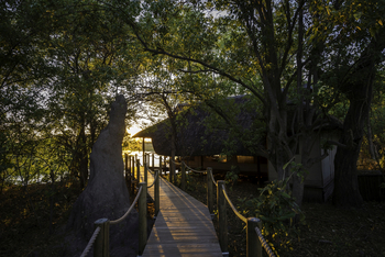 Savuti Camp Savuti Camp: Steg zum Zelt