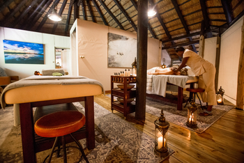 Selinda Camp: Wellness