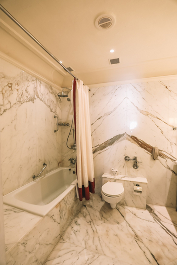 Taj Lake Palace: Palace Room