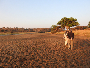 Tarangire Safari Lodge: Walking Safaris