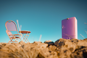 The Desert Grace: Pink Fridge