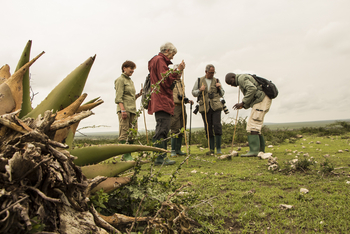 Ubuntu Migration Camp: Tracking