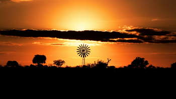 Camp Hwange: Windrad als Pumpenantrieb