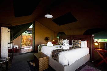 Camp Savuti: Gästezelt