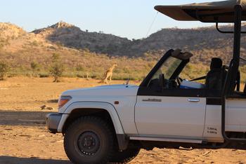 Hobatere Lodge: Game Drives