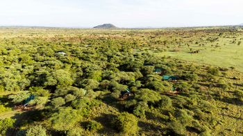 Ikoma Tented Camp: Gesamtansicht