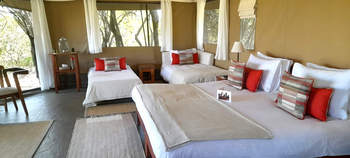 Kicheche Mara Camp: Quad Tent