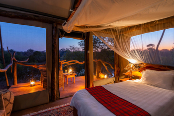 Mukambi Fig Tree Bush Camp: Gästezelt am Abend