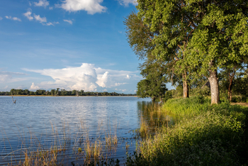 Nanzhila Lake Camp Nanzhila Lake Camp: Galeriewald